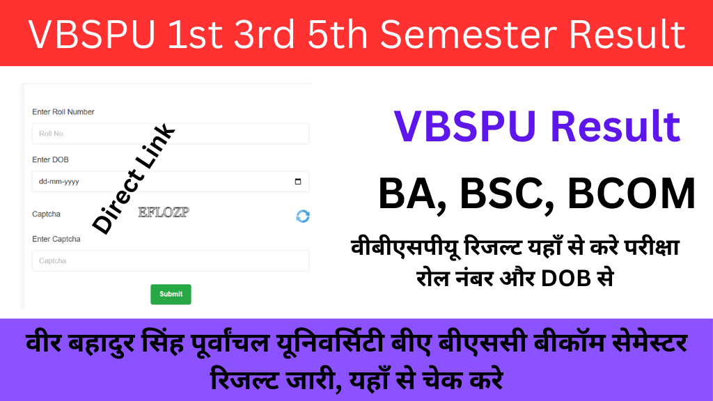 VBSPU 1st 3rd 5th Semester Result 2024