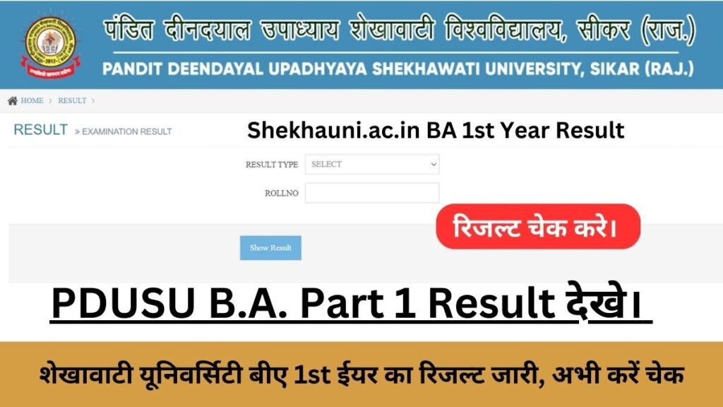 Shekhauni.ac.in BA 1st Year Result 2024: शेखावाटी यूनिवर्सिटी बीए 1st ईयर का रिजल्ट जारी, अभी करें चेक
